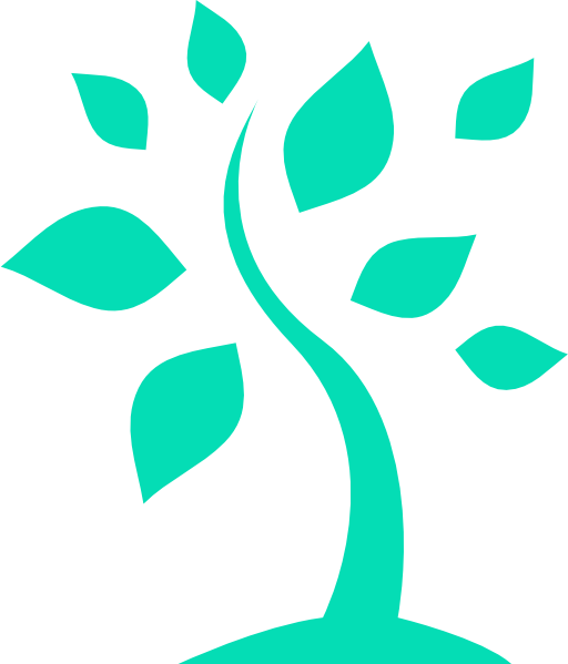 EBCFO Services